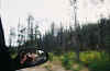 JenRearView.jpg (47025 bytes)