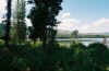 LoonLakeScenic1.jpg (65707 bytes)